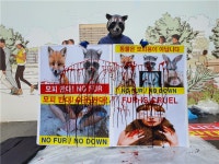 (영상)모피, 어떻게 만드는지 아시나요…산채로 껍질 벗겨