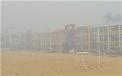 산불 울진·삼척 일부 학교 등교중단…인명피해 없어