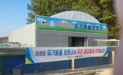 굶주림으로 죽어가 무안 동물보호소, 관리 소홀 지적 쏟아져