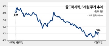 골드퍼시픽, 액면가 아래로 내려간 주가…감자 카드 꺼내나