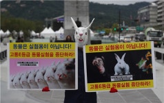 선진국은 없애는 동물실험…법 만들어주세요