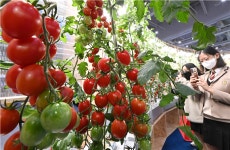 가축분뇨 활용 신재생 에너지 뜬다…농가 난방비 절감 효과 톡톡