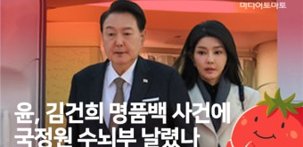 [토마토레터 제310호] 김건희 명품백 사건에 열받은 윤 대통령이 국정원 수뇌부 날렸나?