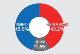 (정기여론조사)⑤'이재명 사천' 논란, 45.0% 