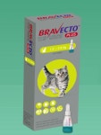 한국MSD동물의약품 브라벡토 플러스캣 국내 출시
