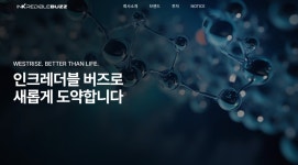 투자 매력 떨어졌나?…인크레더블버즈, 자금조달 무산