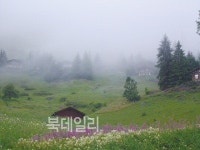 실존하는 동화나라