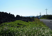 23일 제주올레길 새코스 바당올레 8km 선보인다