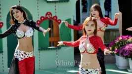 [포토] 2015 포천 허브아일랜드 카니발 축제 밸리 댄스 속으로~