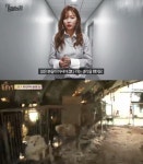 동물농장 현아, 유기견 센터에서 새로운 가족을 찾았으면 당부