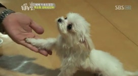 [오늘의 운세] 7월 10일 日(음력 6월 7일), 개띠 고비도 넘길 줄 알아야...나머지 띠는?