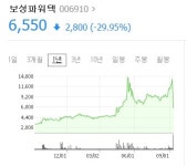 반기문 테마주 보성파워텍 이틀 연속 하한가 추락