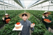 SPC그룹, 딸기 청년농부 지원… ESG행복상생 앞장