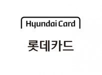 현대·롯데카드, 집중호우 피해 고객 특별 금융지원 실시 