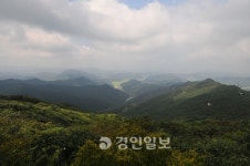 [송수복과 떠나는 즐거운 산행] 전남 영광 불갑산
