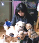 거리의 개 11년째 가슴으로 보살펴