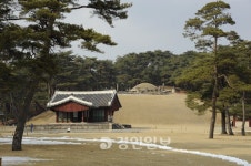 [王을 만나다·26]영릉 (4대 세종·소헌왕후)