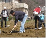 고객 무료분양 농촌사랑주말농장 개장