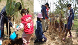 숲은 지구를 지키는 녹색에너지
