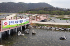 죽어가던 경안천 인공습지 부활