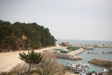 상처받은 현대인 감싸는 치유의 공간 태안 바라길
