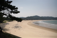 상처받은 현대인 감싸는 치유의 공간 태안 바라길