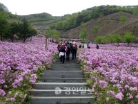 [송수복과 떠나는 즐거운 산행]전북 남원 봉화산