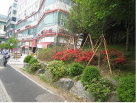 쾌적한 도심환경조성 녹색손길…