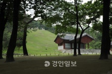 [王을 만나다·36]정릉 (貞陵·태조의 계비 신덕왕후)