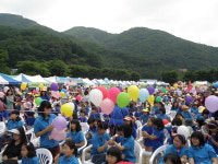 새마을문고 道지부 오늘 문화 한마당