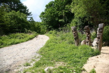 [이야기가 있는 길]죽령 옛길