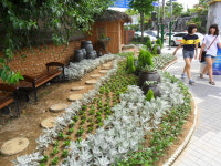 무더위 잊게하는 꽃향기 가득한 길