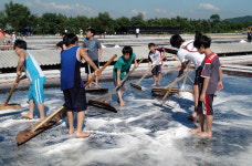 육지로 들어온 바다 갯골… 고랑마다 피어나는 웃음꽃