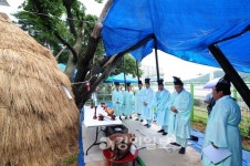 400여년 마을 수호신 당나무… 도림동 당제 열려