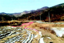 [전재원의 알짜 강추]