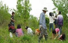 파주시, 내달 14일까지 파평산 산더덕캐기 행사