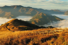 [송수복과 떠나는 즐거운 산행]강원 정선 민둥산