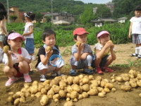 [푸른농촌 희망찾기]용인 호박등불마을
