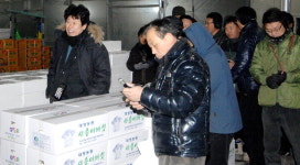 [현장르포]수원농수산물도매시장을 가다