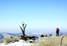 [송수복과 떠나는 즐거운 산행]가리왕산