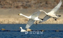 [新 휴먼로드·2]하남 위례길 - 2) 사랑길과 역사길