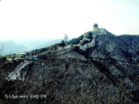 오솔길따라 배우는 여유 비좁은 정상 도심을 품다