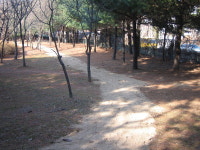 고양 화수공원 나무숲 둘레길 개방