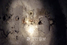 킨텍스 제2전시장 총체적 재점검 목소리