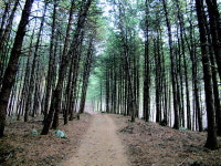 [송수복과 함께 전철로 가는 산행] 호명산