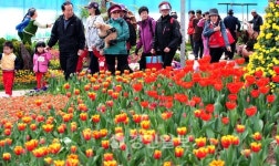 푸른인천 꽃전시회 화사한 봄꽃 향기로운 산책