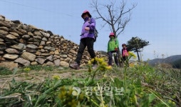 [新 휴먼로드·14]군포 수릿길(바람고개길)