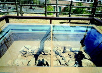 도개공, 청동기시대 석곽묘… 검단선사박물관 이전·복원