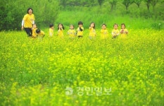 노란 유채물결속 해맑은 동심