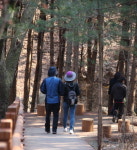 청계산 건강주제공원, 맑은 숲 공원 으로 재탄생